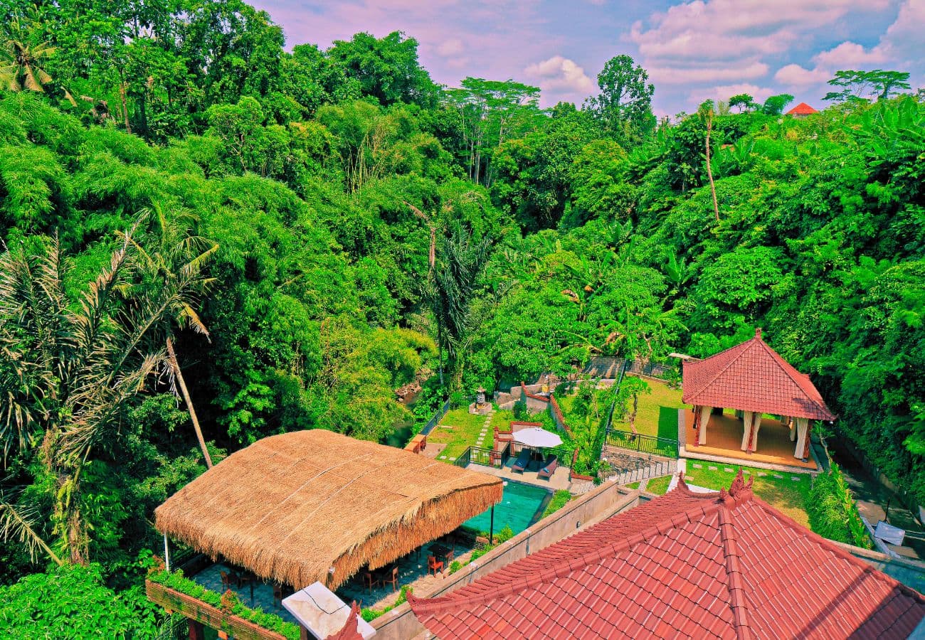 Aerial view of Bali YTTC shala swimming pool