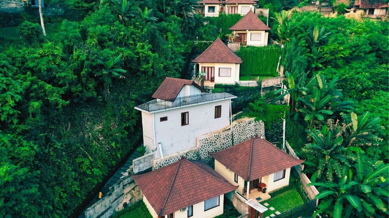 Scenic Jungle Viewpoint
