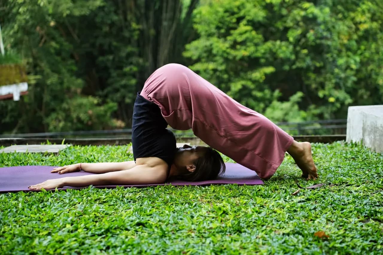 Halasana