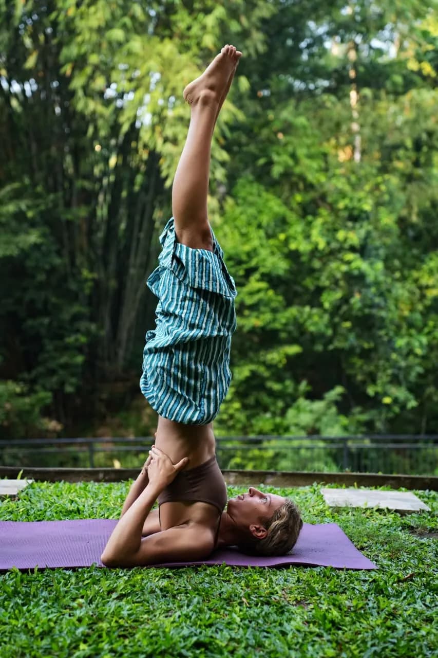 Sarvangasana