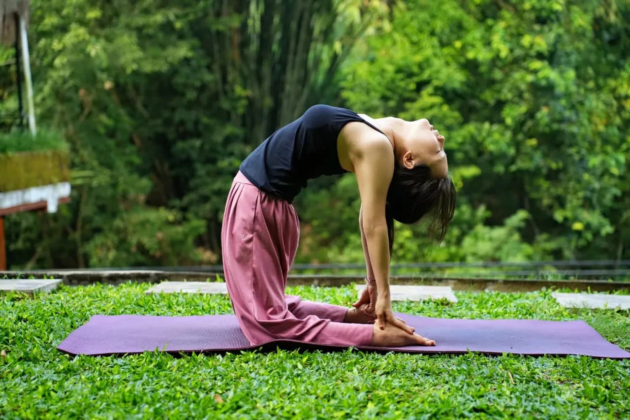 Ustrasana