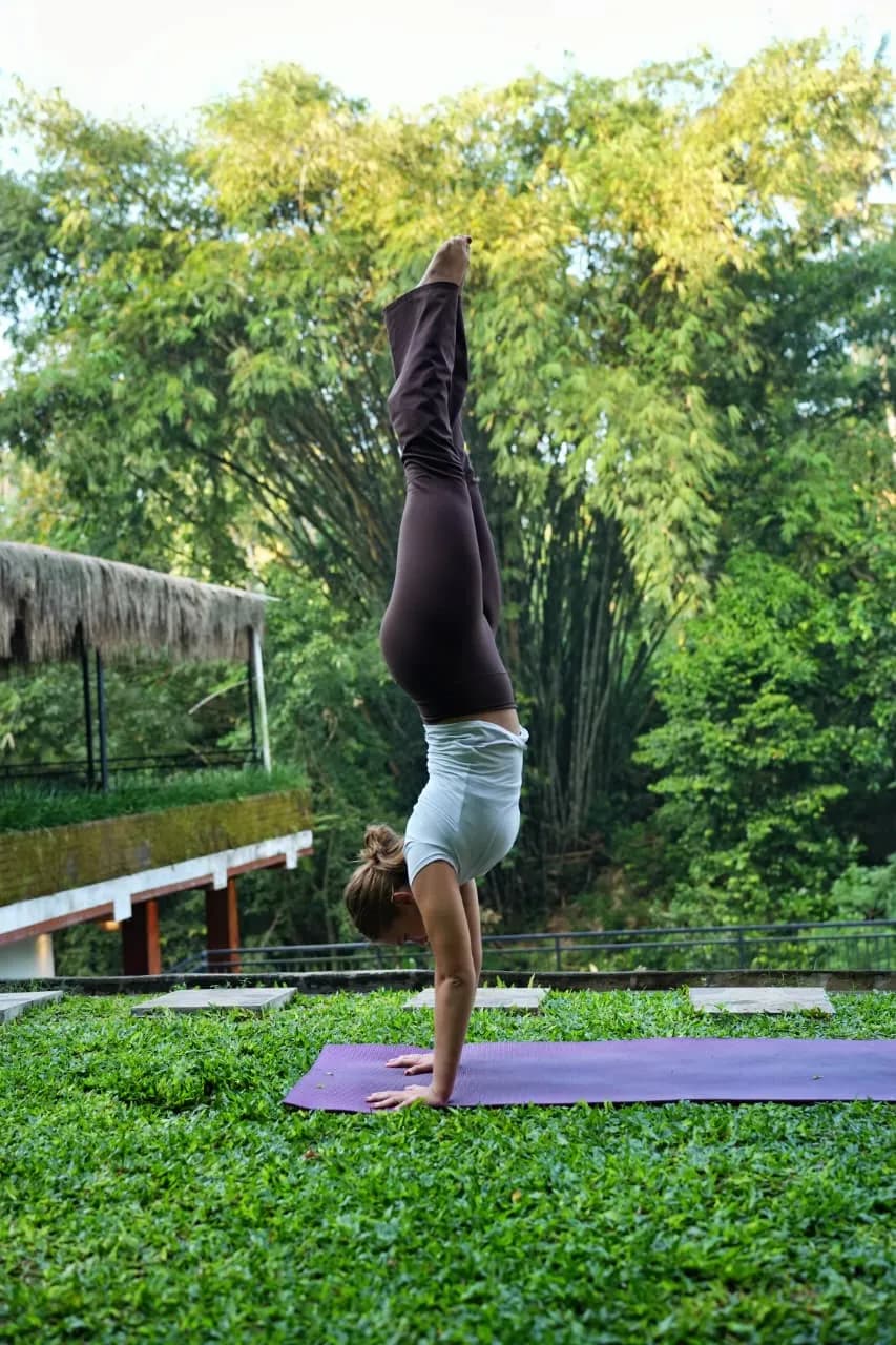 Adho Mukha Vrksasana