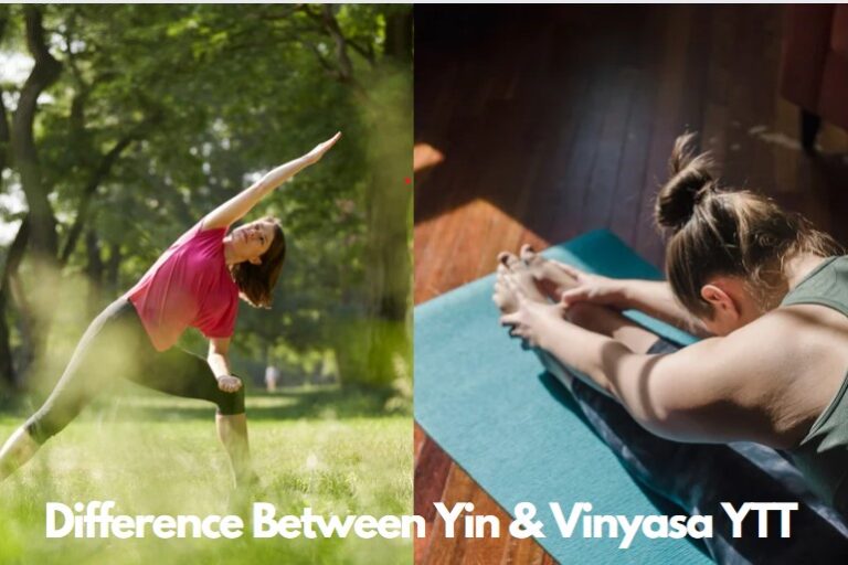 Vinyasa vs Yin Yoga : Difference , Yoga Teacher Training