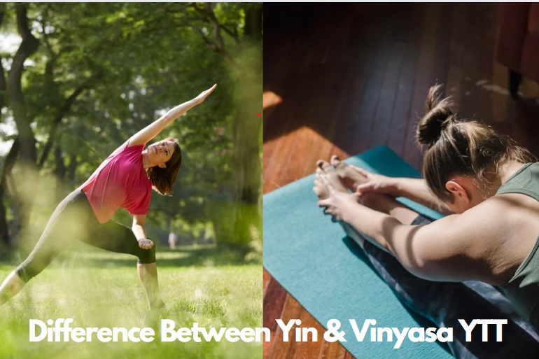 dIFFERENCE between Yin and AshtangaYTT