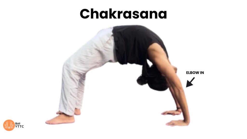 Chakrasana