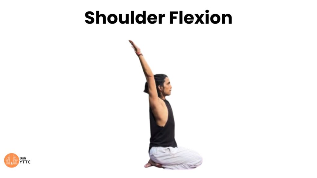 Shoulder Flexion