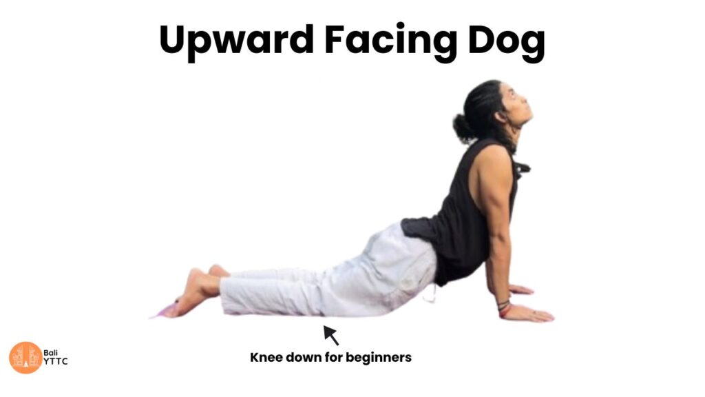 Upward facing dog