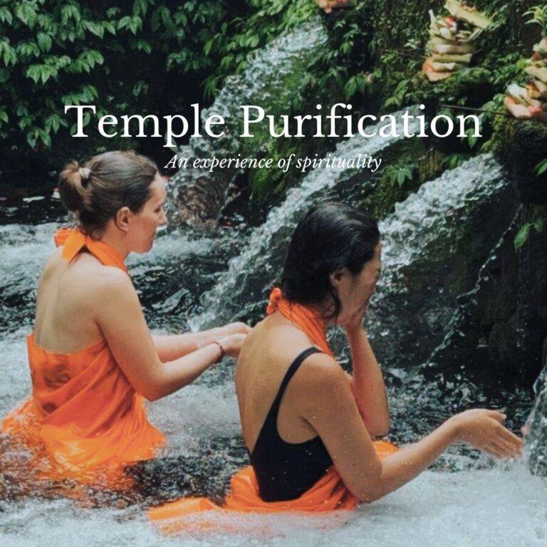 Gallery 21 Balinese Temple Excursion - 200 hour Yoga Teacher training bali