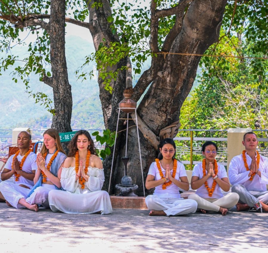 Our Impact on Society through Yoga Teacher Training Our Impact on Society through Yoga Teacher Training